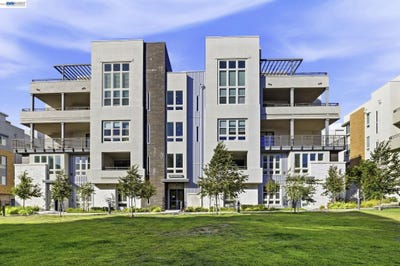 /international/us/45249-electric-ter-fremont-ca-110108689196/