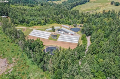 /international/us/23175-ne-ridge-rd-gaston-or-110106180274/