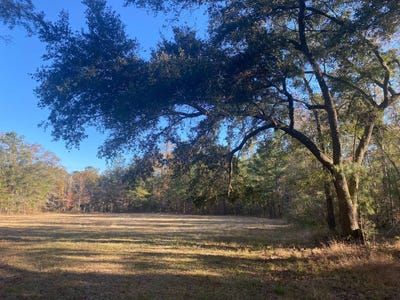 /international/us/4257-henderson-rd-varnville-sc-110105359884/