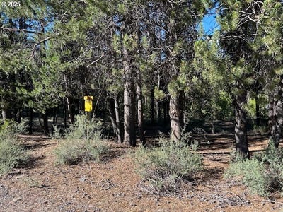 /international/us/pine-creek-loop-crescent-lake-or-110100880328/