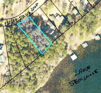 /international/us/lot-1014-holly-drive-loop-donalsonville-ga-110100400063/