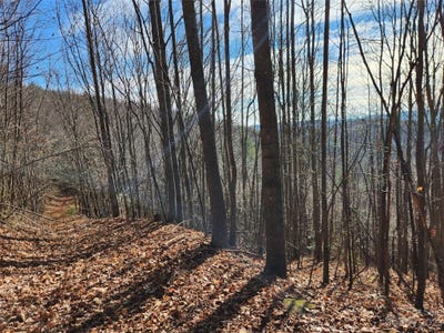 /international/us/6900-mertie-road-millers-creek-nc-110088701880/?lang=zh-tw