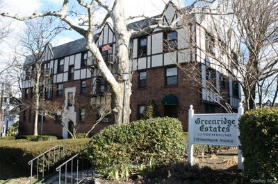 /international/us/11-greenridge-avenue-white-plains-ny-110108711440/