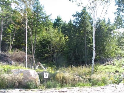 /international/us/lot-6-rocky-ridge-road-naples-me-110101073771/?lang=zh-tw