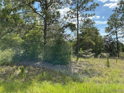 /international/us/11774-n-shenandoah-way-citrus-springs-fl-110101031460/?lang=zh-tw