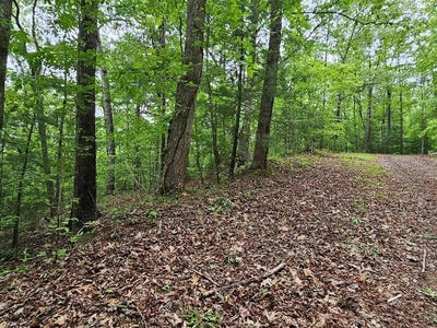 /international/us/6-heather-lane-lot-6-murphy-nc-110108480533/