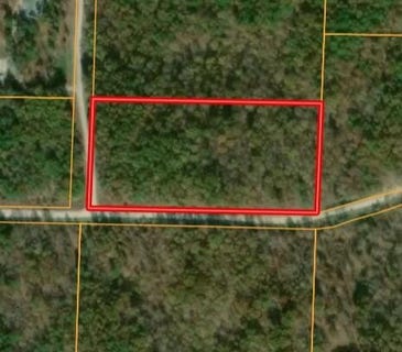 /international/us/apache-trail-raymondville-mo-110107030494/