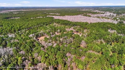 /international/us/gertie-lane-cordesville-sc-110105645514/