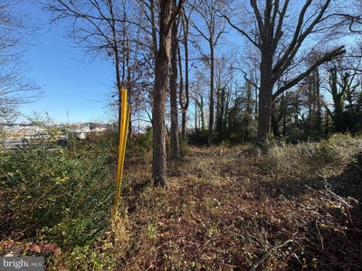/international/us/old-turkey-point-road-edgewater-md-110120682283/