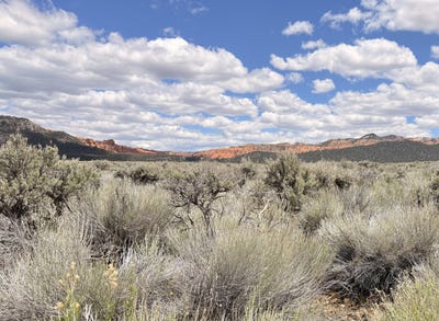 /international/us/4323-s-scenic-dr-panguitch-ut-110108201742/