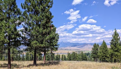 /international/us/lot-29-leiber-road-plains-mt-110101011919/