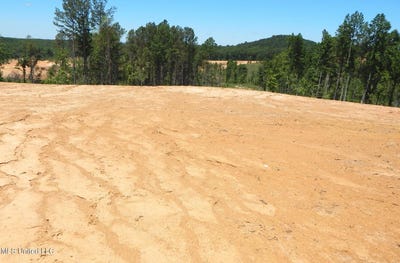 /international/us/101-hugh-white-state-park-road-lot-1-grenada-ms-110091947287/