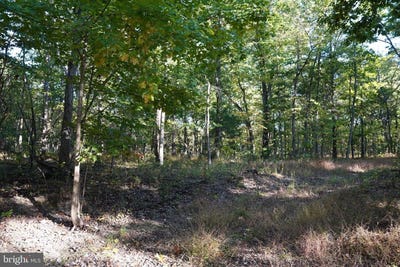 /international/us/cedar-ln-martinsburg-wv-110120482008/