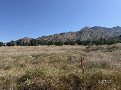 /international/us/3171-erskine-creek-rd-lake-isabella-ca-110098996005/