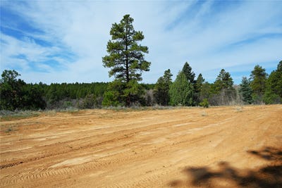 /international/us/6-badger-park-chama-nm-110107039503/