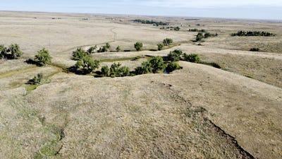 /international/us/14-county-road-109-deer-trail-co-110105096361/