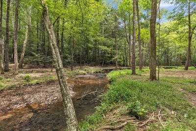 /international/us/76-acres-meers-road-dalton-ga-110101192061/