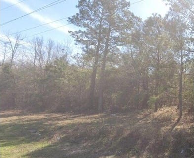 /international/us/moses-dingle-road-manning-sc-110106556513/