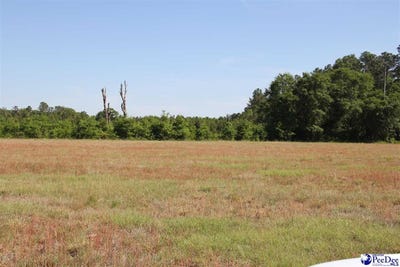 /international/us/tbd-gallowaytown-road-hartsville-sc-110108179892/