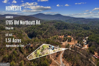 /international/us/1705-old-northcutt-ellijay-ga-110100919802/?lang=en