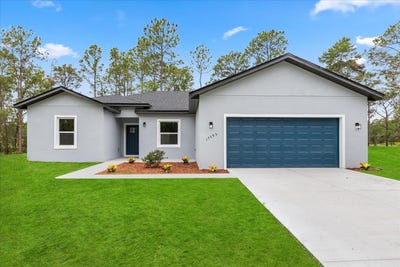 /international/us/17493-sw-41st-cir-ocala-fl-110101056234/