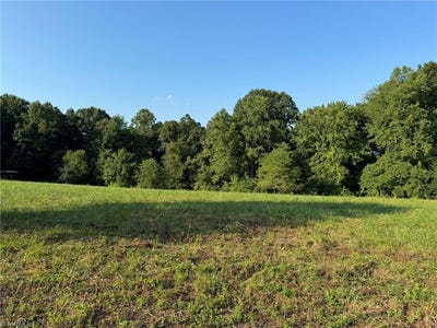 /international/us/00-red-hill-creek-road-dobson-nc-110094712083/