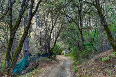 /international/us/21901-marcus-lane-sonora-ca-110097491097/