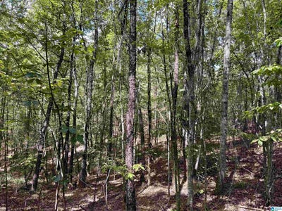 /international/us/lane-branch-road-lot-11-74-acres-wedowee-al-110119947736/