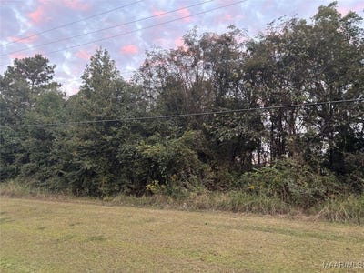 /international/us/2075-county-rd-81-valley-grande-al-110102753102/