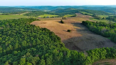 /international/us/2060-rietter-hill-road-westfield-pa-110100097132/?lang=en