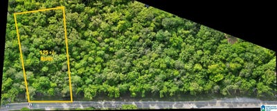 /international/us/county-road-42-lot-4-jemison-al-110108108658/