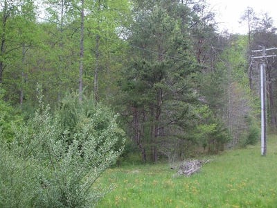 /international/us/happy-trails-db-340-dp-074-staffordsville-ky-110104445002/