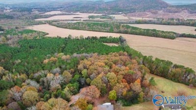 /international/us/21-5-acres-county-road-91-gaylesville-al-110096202705/?lang=de