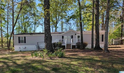/international/us/19807-browney-drive-vance-al-110107082770/