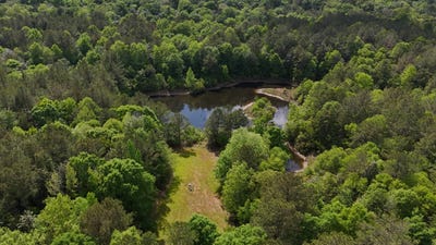 /international/us/33-hundred-acre-road-neely-ms-110107603484/