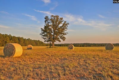 /international/us/browns-pond-road-wagener-sc-110100479268/