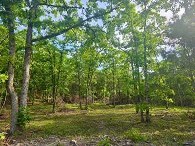 /international/us/36-acres-bohannon-creek-rd-whitesboro-ok-110107542641/