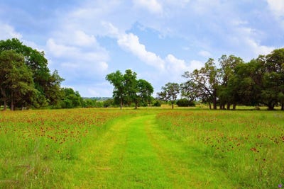 /international/us/1364-n-walnut-springs-road-johnson-city-tx-110098465170/