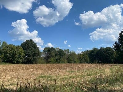 /international/us/2770-hwy-305-coldwater-ms-110110209233/