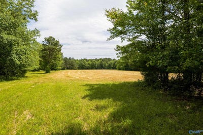 /international/us/343-county-road-814-flat-rock-al-110096937766/