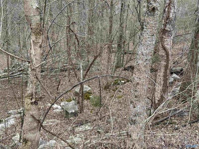 /international/us/4621-legacy-preserve-way-se-brownsboro-al-110106759977/