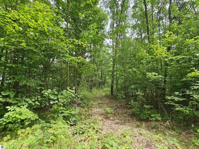 /international/us/6509-mareny-drive-marion-mi-110100750927/?lang=de