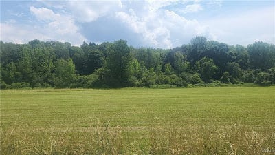 /international/us/lot-3-co-rte-91-ellisburg-ny-110100972417/