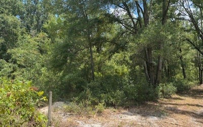 /international/us/tbd-208th-street-obrien-fl-110101365848/