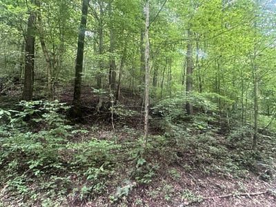 /international/us/lot-24-rock-springs-road-celina-tn-110100722668/