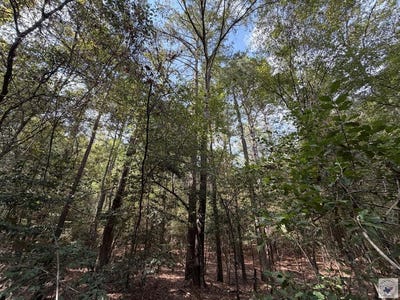 /international/us/fm-130-linden-tx-110120460923/