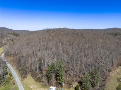 /international/us/6401-big-hurricane-creek-road-fort-gay-wv-110106343306/