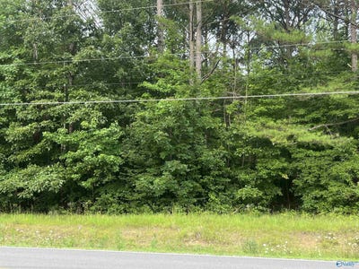 /international/us/10-acres-nauvoo-road-nauvoo-al-110100585549/?lang=zh-tw