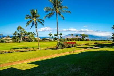 /international/us/3950-kalai-waa-st-kihei-hi-110119450371/