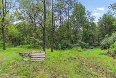 /international/us/sawmill-rd-palmer-tn-110110189304/